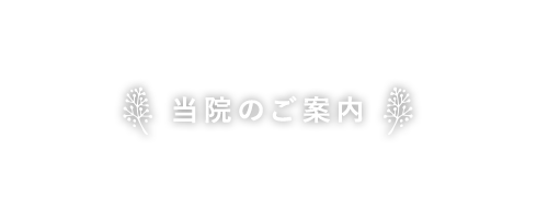 当院のご案内